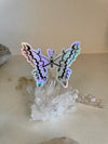 Holographic Butterfly